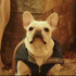 『DOG DAYS 君と いつまでも』©2024 CJ ENM Co., Ltd. ALL RIGHTS RESERVED