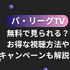 パ・リーグTVは無料で見られる？お得な視聴方法やキャンペーンも解説！