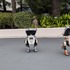 かわいいの2足歩行ロボットが新登場！BDXドロイドのアトモスフィアプログラム