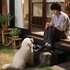 「初恋DOGs」10話 (c)TBS
