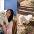 女優ソン・ヘギョの“穏やかな秋の日常”。お散歩中の愛犬ルビーが可愛すぎる！【PHOTO】