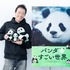 『パンダのすごい世界』
