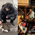 シン・ハギュン×野良猫、“猫×猫の無害な癒やしのツーショット”で心が洗われる【PHOTO】