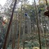 「街の呼吸と森の映画祭2026」