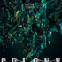 『群体（原題）』（英題『Colony』）©APOLLO