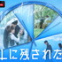 「わたしに残された恋愛」(C) SBS