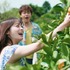 「バカンスの法則」（C）AbemaTV, Inc.