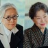 心温まる家族愛から愉快なチームワークまで！『恋は命がけ』を彩る名バイプレイヤーたち