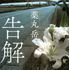 原作：薬丸 岳『告解』（講談社文庫）