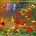 金魚が泳ぐ納涼美。アートアクアリウム2013が日本橋で開催