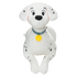 A賞 ビッグぬいぐるみ／© Disney