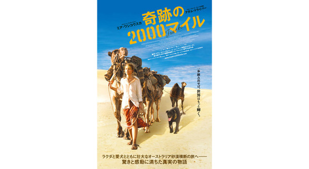 ミア ワシコウスカ ラクダ 愛犬と共に砂漠横断の旅へ 伝説の実話を映画化 Cinemacafe Net