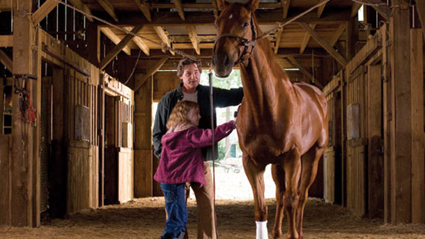 『夢駆ける馬ドリーマー』　メイン
