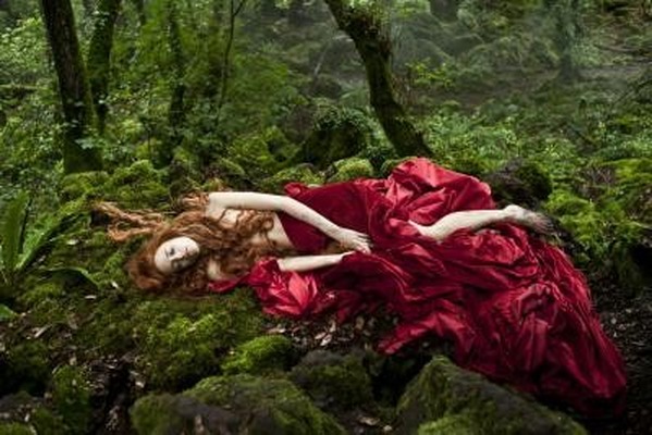 tale of tales