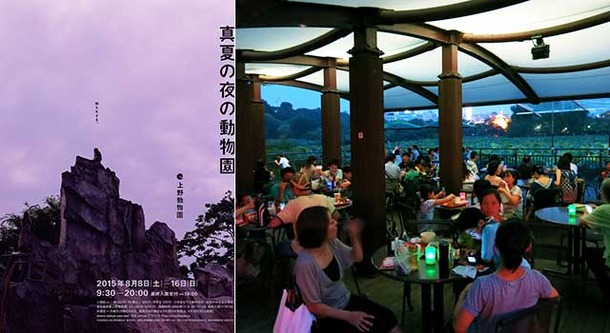 「真夏の夜の動物園」　写真：（公財）東京動物園協会