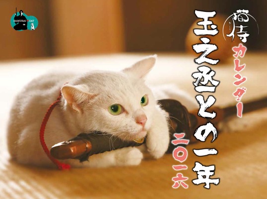猫侍 白い美猫 玉之丞の萌えまくる初カレンダー発売決定 Cinemacafe Net