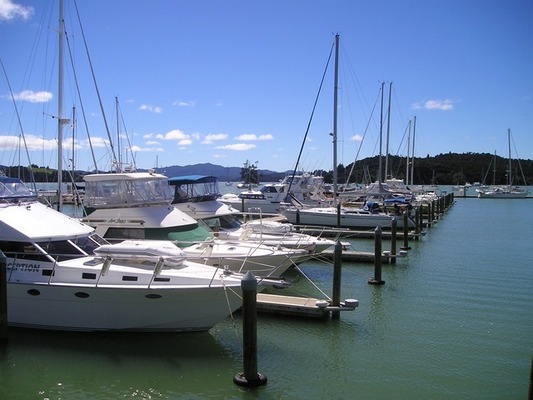 ニュージーランドのフィッシング＆ダイビングスポット