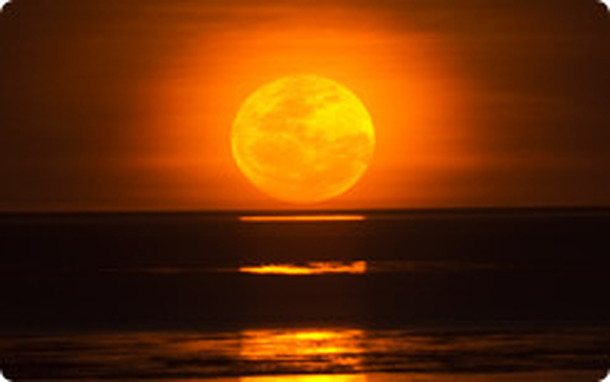 月への階段　キャメルライド