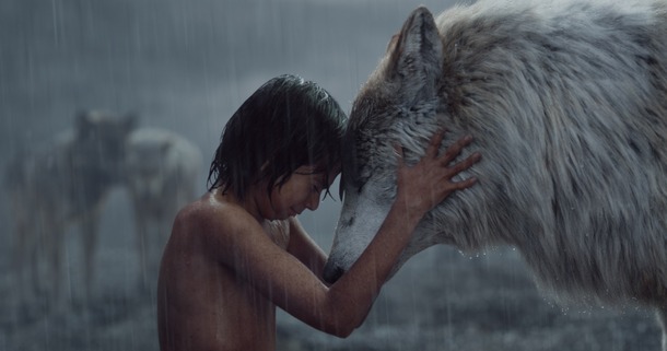 特別映像 ルピタ ニョンゴが語る母オオカミの愛 ジャングル ブック Cinemacafe Net