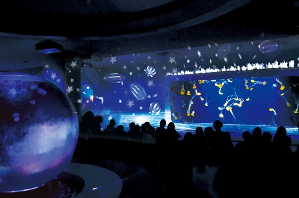 新江ノ島水族館「ナイトワンダーアクアリウム 2016」海月の宇宙 Another story ～クラゲと月が出会う時間～