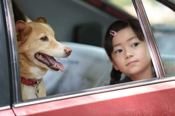 『話す犬を、放す』　（C）2016 埼玉県／SKIPシティ 彩の国ビジュアルプラザ