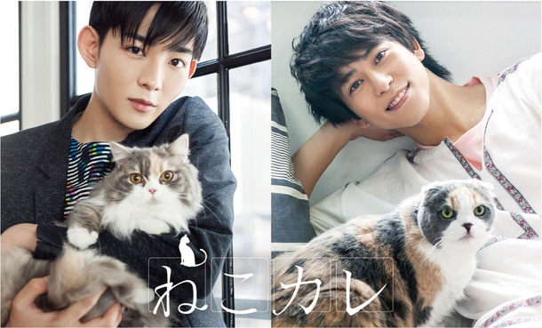 「ねこカレ」（C） TC Entertainment,Inc.