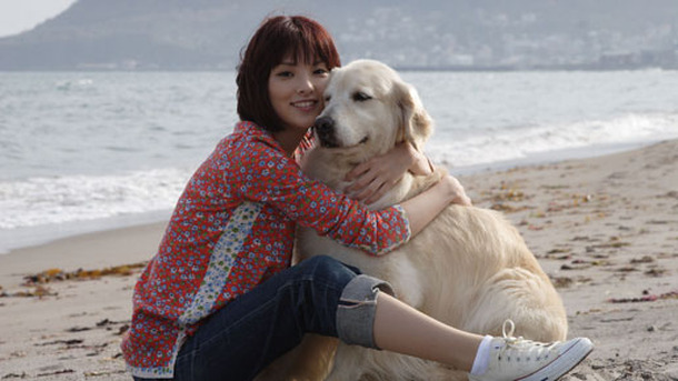 犬と私の10の約束