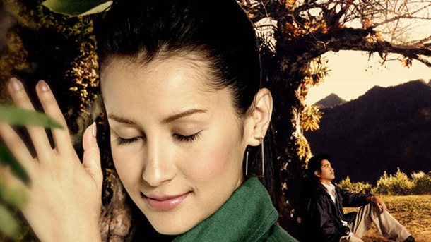 レター 僕を忘れないで