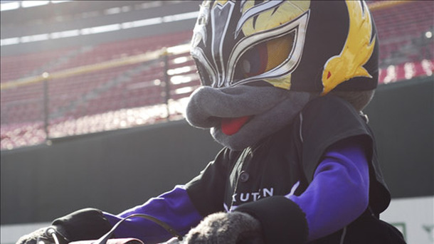 カラスコライダー