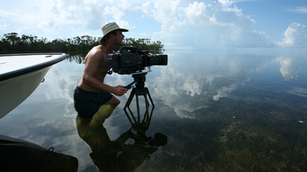 ライフ −いのちをつなぐ物語−