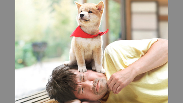 マメシバ一郎 3D