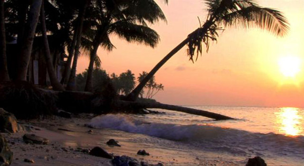 南の島の大統領−沈みゆくモルディブ−