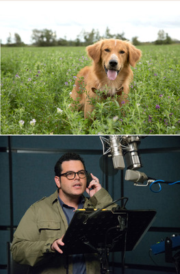 『僕のワンダフル・ライフ』　(C) 2017 Storyteller Distribution Co., LLC and Walden Media, LLC