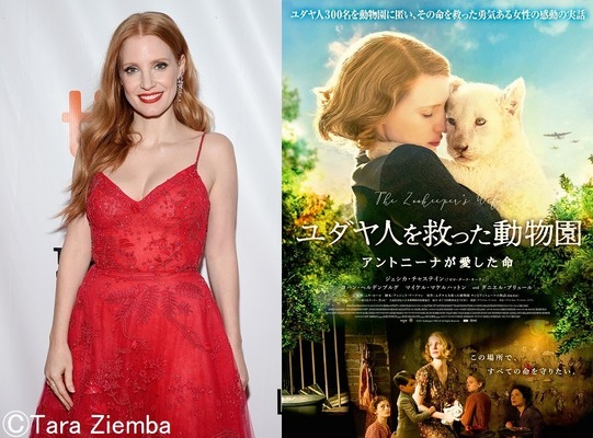 『ユダヤ人を救った動物園 ～アントニーナが愛した命～』(c)2017 ZOOKEEPER’S WIFE LP. ALL RIGHTS RESERVED.