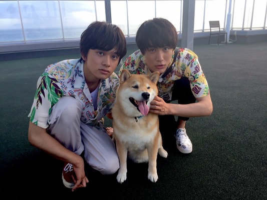 北村匠海と中川大志が湘南で犬 猫と触れ合う もふもふモフモフ 夏の拡大sp Cinemacafe Net