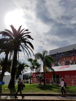 5月にはレッドカーペットが敷かれている会場前