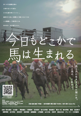 今日もどこかで馬は生まれる