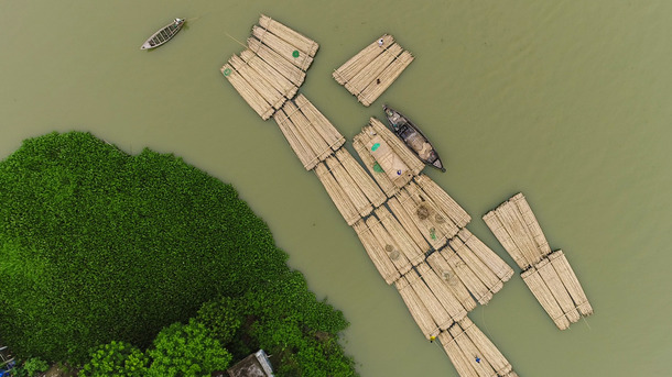 竹で稼ぐ男たち