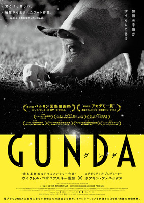 動物たちの暮らし覗く 全編音楽 ナレーション無しのモノクローム映像で構成された映画 Gunda 予告編公開 Cinemacafe Net