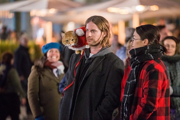 『ボブという名の猫2 幸せのギフト』（C） 2020 A GIFT FROM BOB PRODUCTION LTD. ALL RIGHTS RESERVED.