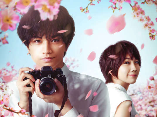 Netflix映画『桜のような僕の恋人』