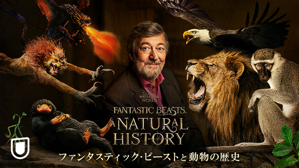 「ファンタスティック・ビーストと動物の歴史」（C） Warner Bros. Entertainment UK Limited 2022
