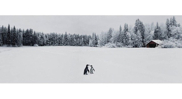 Story36… 2013 Pigment Print 1280x480mm