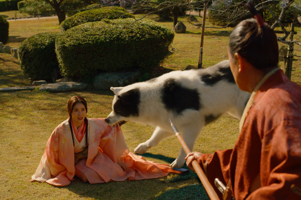 『八犬伝』©2024 『八犬伝』FILM PARTNERS.