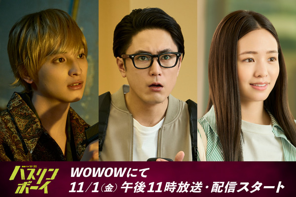 連続ドラマＷ-30「ハスリンボーイ」