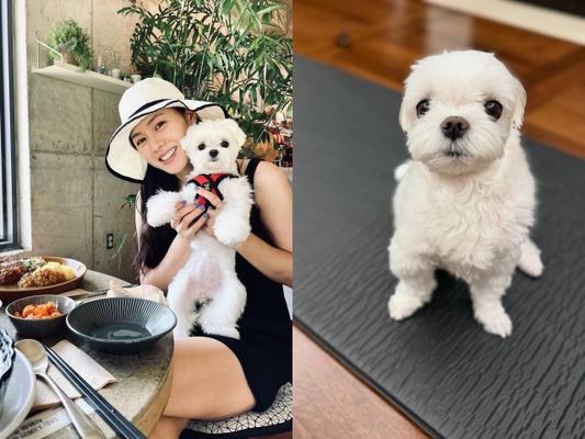 『愛の不時着』ソン・イェジン、愛犬とのささやかな日常に“ほっこり”。「おやつも食べたのに…」【PHOTO】