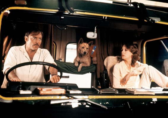 『ロードゲーム』©️1981 QUEST FILMS PTY.. LTD.