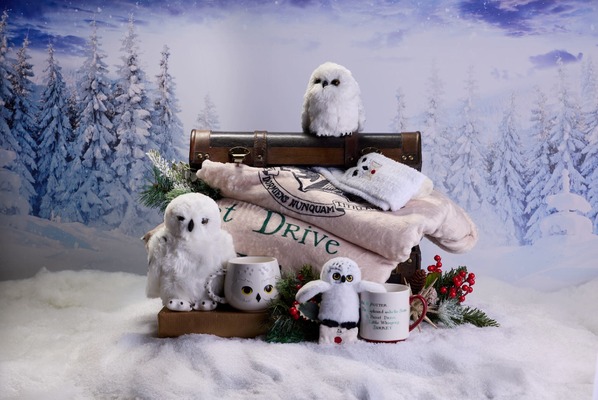 「ワーナー ブラザース スタジオツアー東京 – メイキング・オブ・ ハリー・ポッター」