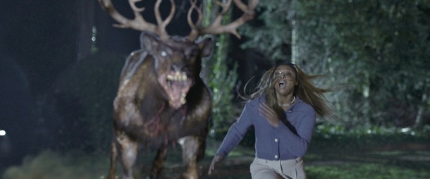 『子鹿のゾンビ』© COPYRIGHT 2025 ITN DISTRUBTION