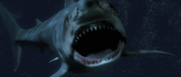 『シャークゾーン』© 2025 Acme Holding Company, LLC.